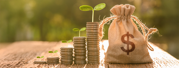 Stack of coins growning small plants representing saving's growth.